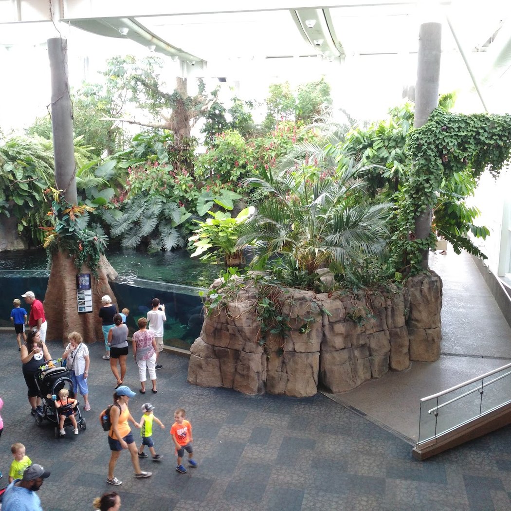 Dinosaurs! Immersive Exhibition 1